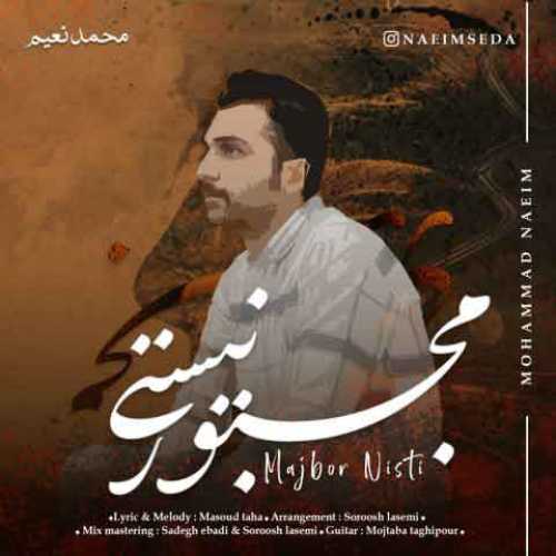 دانلود آهنگ جدید محمد نعیم مجبور نیستی