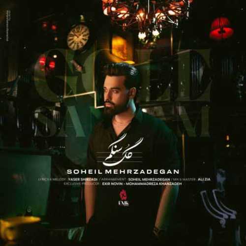 دانلود آهنگ جدید سهیل مهرزادگان گل سنگم