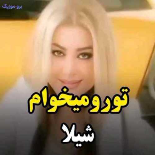 دانلود آهنگ جدید شیلا تو رو میخوام