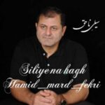 دانلود آهنگ جدید حمید مرد فکری سیلی ناحق