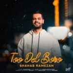 دانلود آهنگ جدید شهاب رمضان تو دل برو