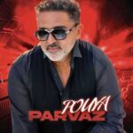 دانلود آهنگ جدید پویا پرواز