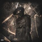 دانلود آهنگ جدید سیوهش Haunted Flow دانلود آهنگ جدید سیوهش Haunted Flow