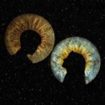 دانلود آهنگ جدید مشکی الهه ی رپ