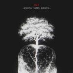 دانلود آهنگ جدید فدی خدا منو ببین دانلود آهنگ جدید فدی خدا منو ببین