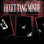 دانلود آهنگ جدید مهیاد دلت تنگ میشه دانلود آهنگ جدید مهیاد دلت تنگ میشه