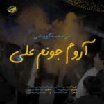 دانلود آهنگ جدید گروه نور آروم جونم علی