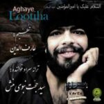 دانلود آهنگ جدید سید حجت نبوی منش آقای لوتی ها