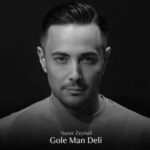 دانلود آهنگ جدید ناصر زینلی گل من دانلود آهنگ جدید ناصر زینلی گل من