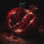 دانلود آهنگ جدید ناجی آخرین انار