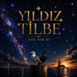 دانلود آهنگ جدید ییلدیز تیلبه Yok Yok Ki
